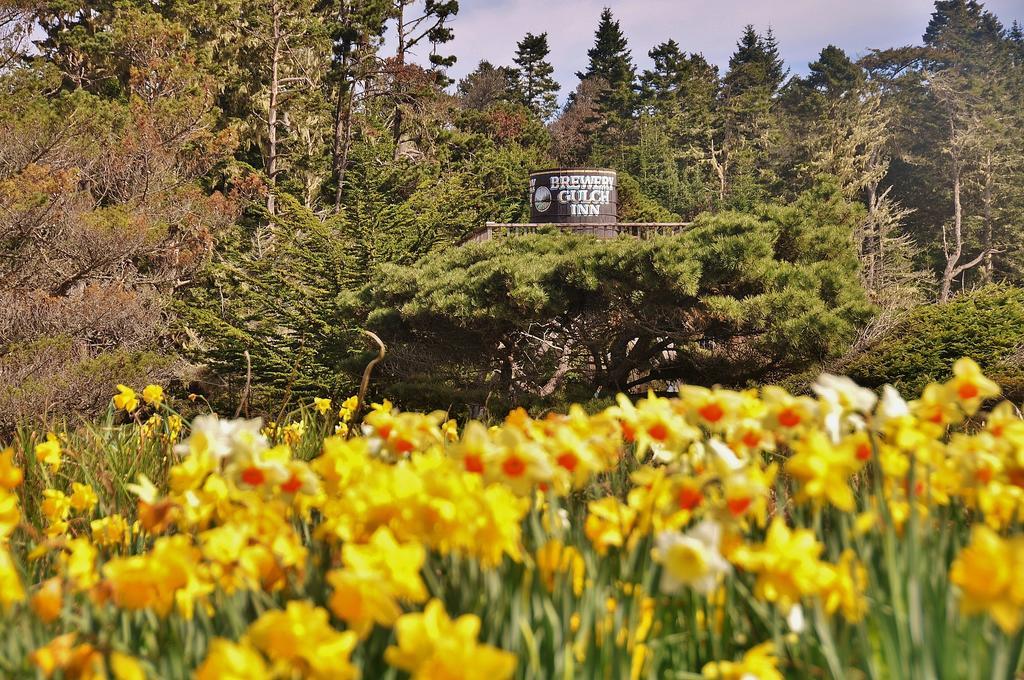 Brewery Gulch Inn & Spa Mendocino Exterior foto